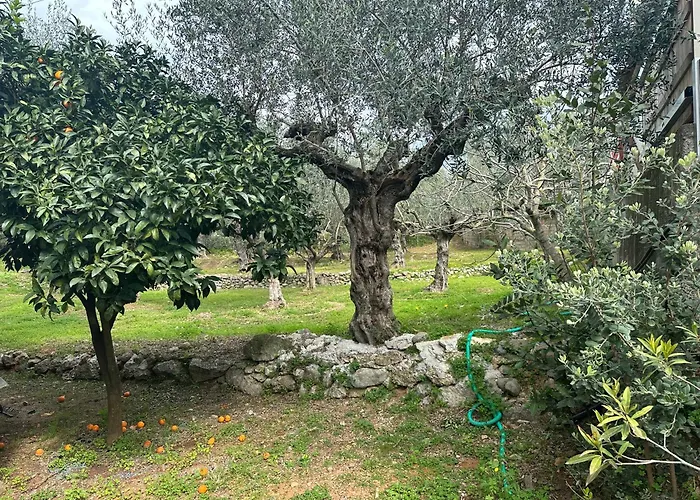 Chic Apartment In Nature, 5-Min Walk To The Beach