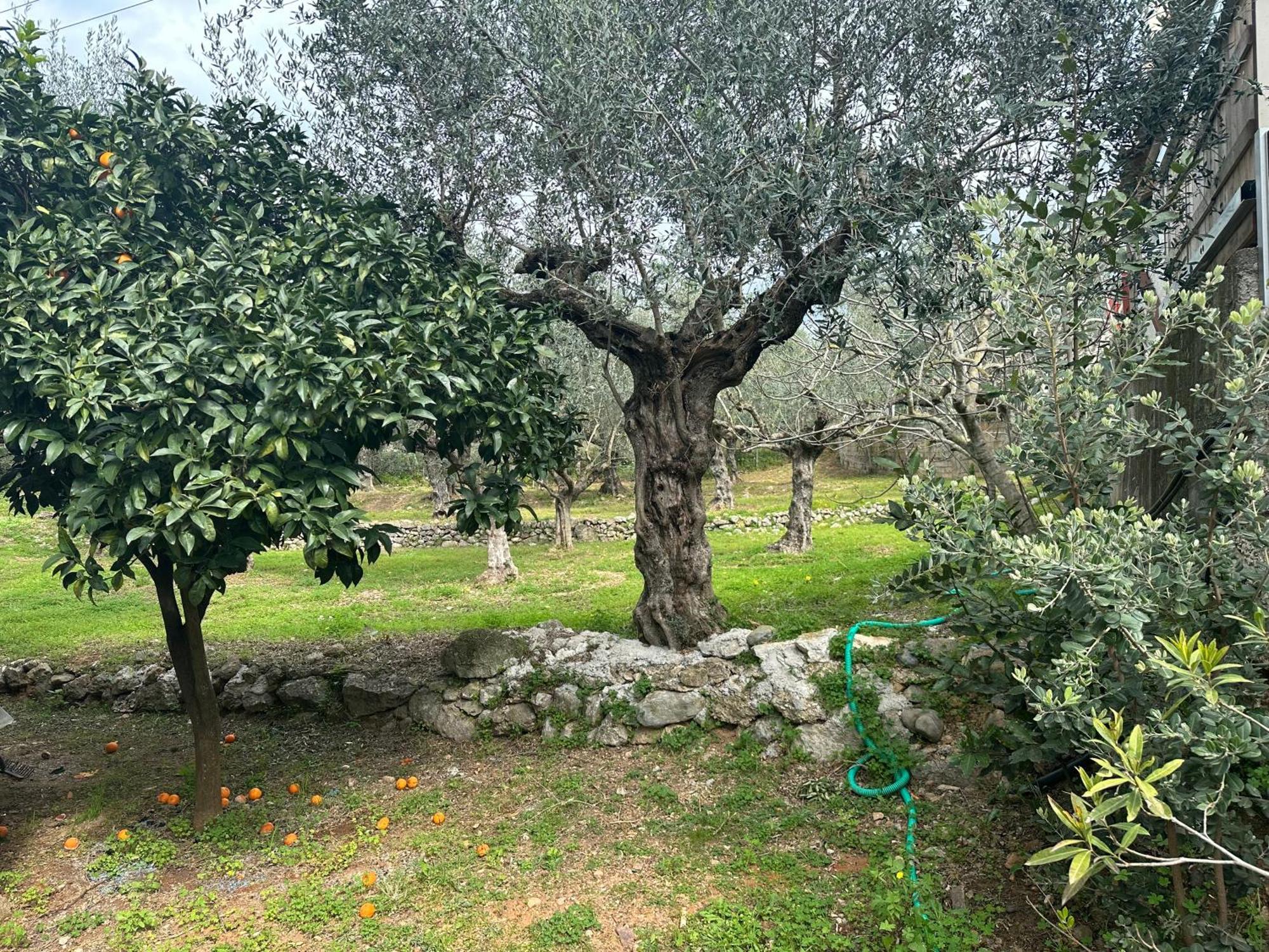 Chic In Nature, 5-min Walk To The * Kalamata